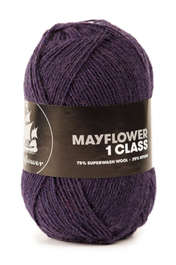 Mayflower 1 Class - 6 Asterslilla