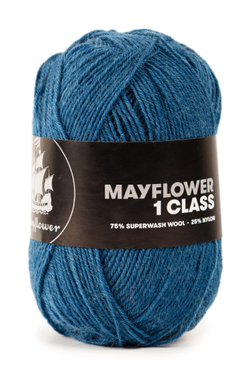 Mayflower 1 Class - 23 Blå Asters