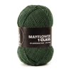 Mayflower 1 Class - 20 Grangrøn