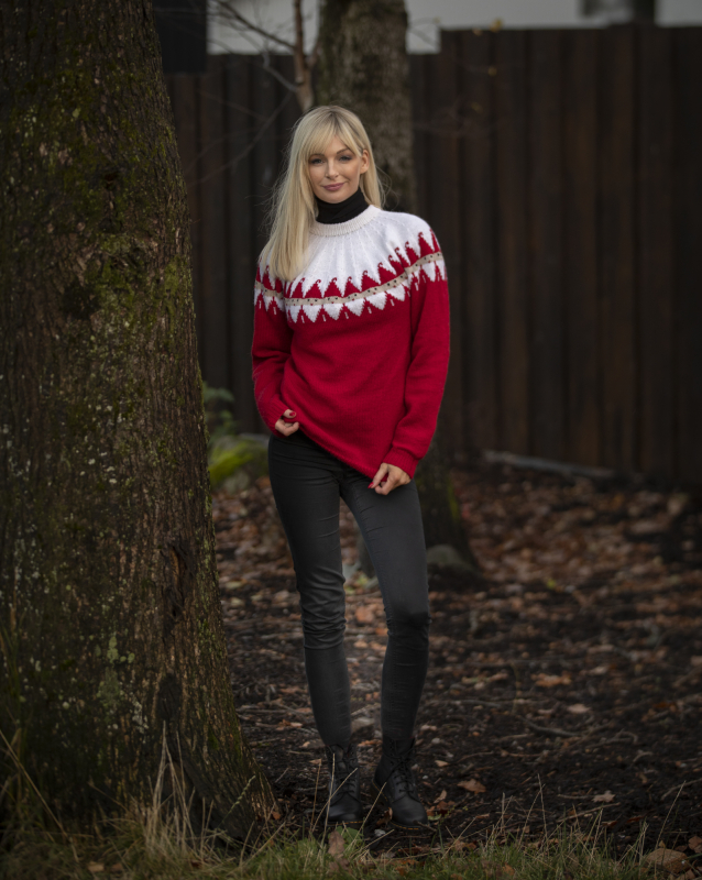 Billede af &quot;Nisse&quot; Genser - Viking Design 2032-8A Kit - XXS-XXXL - Viking Alpaca Storm, fra Viking