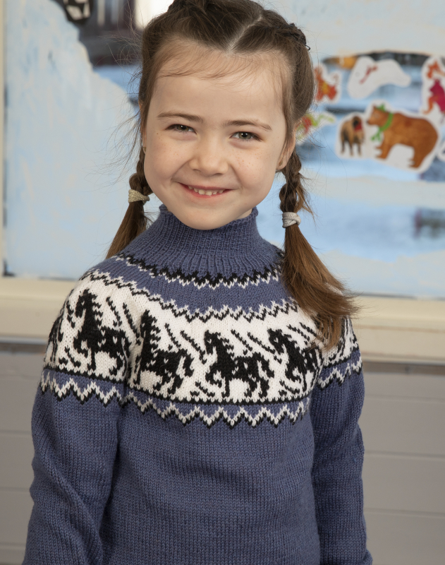 Hest genser - Viking Design 2110-9B Kit - 2 - 12 år - Viking Frøya, fra Viking